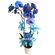 Orchid phalaenopsis blue