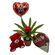 Set of love with small guzmania plant , balloon, teddy bear and chocolates