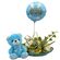 Glass plate with flowers for newborn boy with balloon and teddy bear
