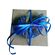 Wedding Favors, box with blue shell