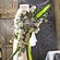 Wedding Candles with pal flowers and import foliages