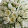 Nυφική Ανθοδέσμη με λευκά τριαντάφυλλα, γυψοφύλλι και στρας swarovski