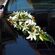 Στολισμός Αυτοκινήτου Γάμου με υπέροχη σύνθεση λουλουδιών