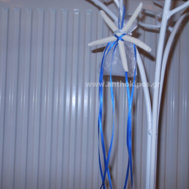 Wedding Favor starfish with blue ribbons
