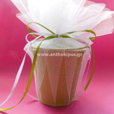 Baptism Favor green bucket wrapped in tulle