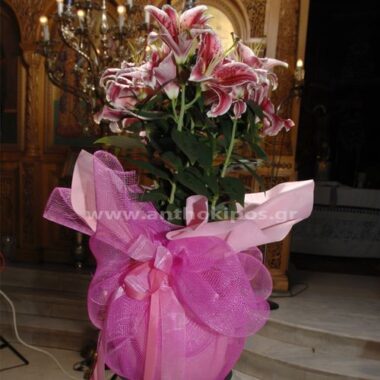 Baptism for a Girl with a wonderful plant in unique wrapping