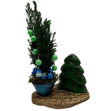 Christmas thuja plant on a base of tree