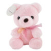 Teddy for newborn baby girl