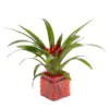 Guzmania plant in glass base