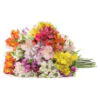Bouquet of alstroemerias 17pcs