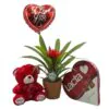 Set of love with small guzmania plant, balloon, teddy bear and chocolates