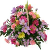 Pink-fuksia multicolor flowers