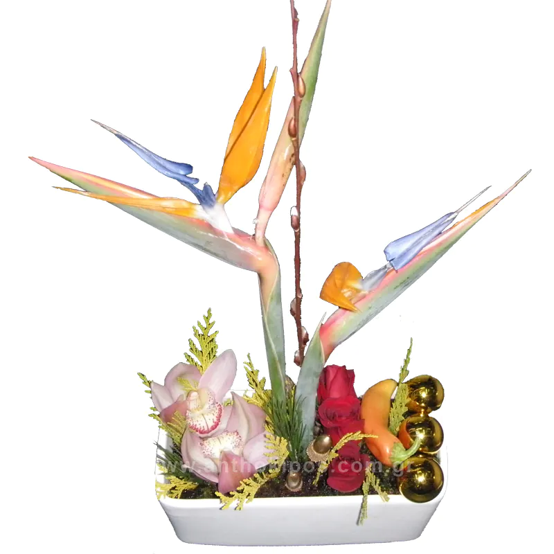 Christmas - New Year flower arrangement on a clay base