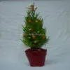 Christmas thuja in red colors