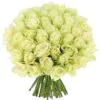 50 white roses in bouquet