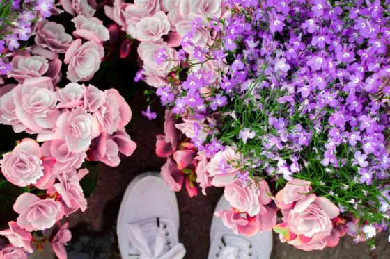 Flower shop Athens