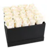 White roses in black square box in row