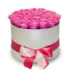 Pink roses in white hat box